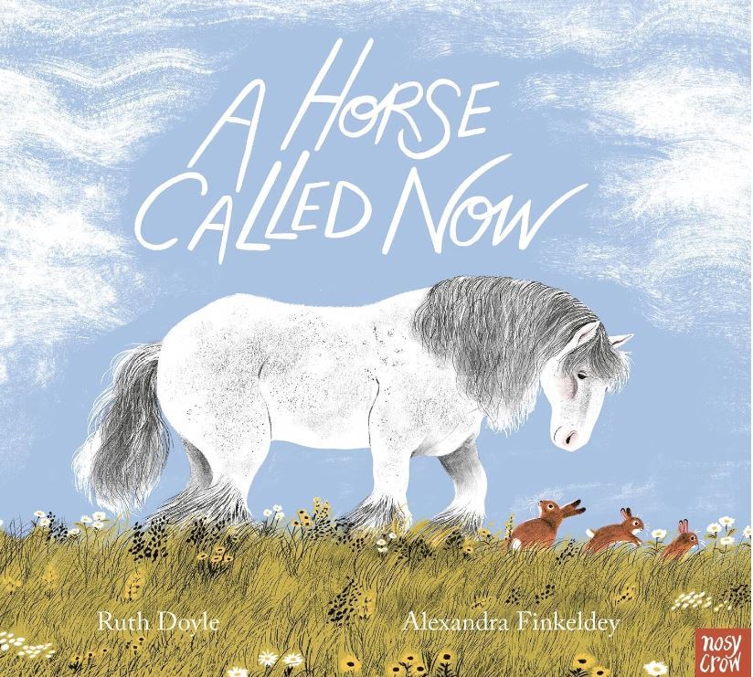 A horse called now cover